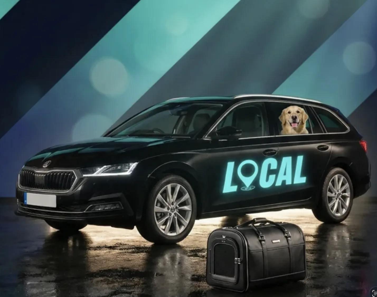 Pet friendly Local Taxis vehicle with dog